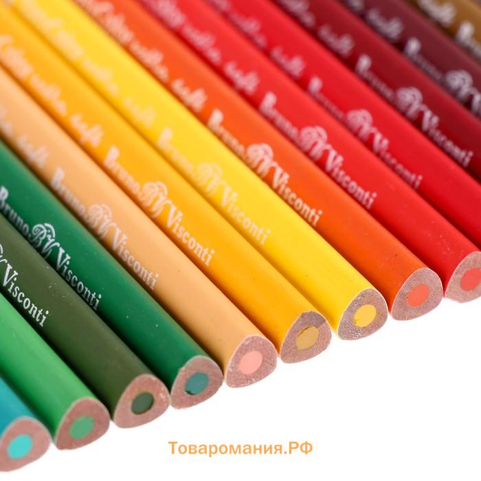 Карандаши 24 цвета BrunoVisconti Easycolor, трёхгранные