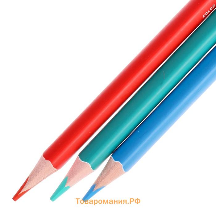 Карандаши 24 цвета BrunoVisconti Easycolor, трёхгранные