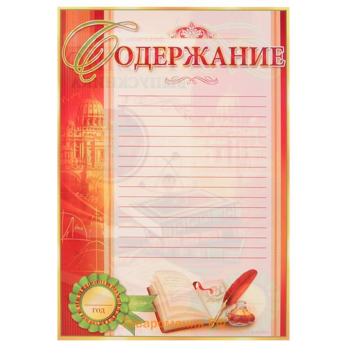 Папка на выпускной «Портфолио выпускника», 8 листов, А4