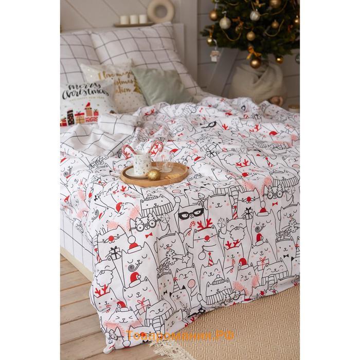 Постельное белье новогоднее  Дуэт Xmas cat 143*215 см - 2 штуки, 240*220 см, 70*70 см - 2 штуки