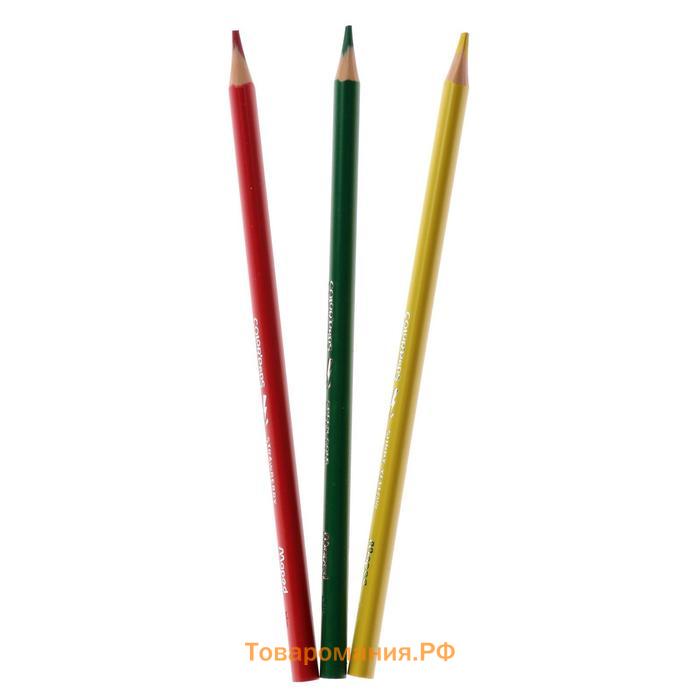 Карандаши 24 цвета Maped Color Peps Strong пластиковые, повышенной прочности, европодвес