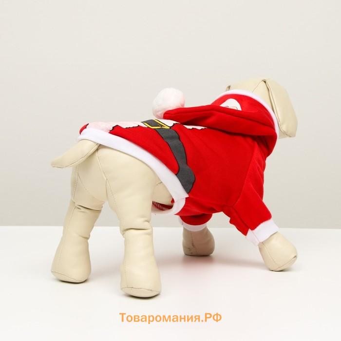 Толстовка для собак Santa, S (ДС 25, ОГ 35 см)