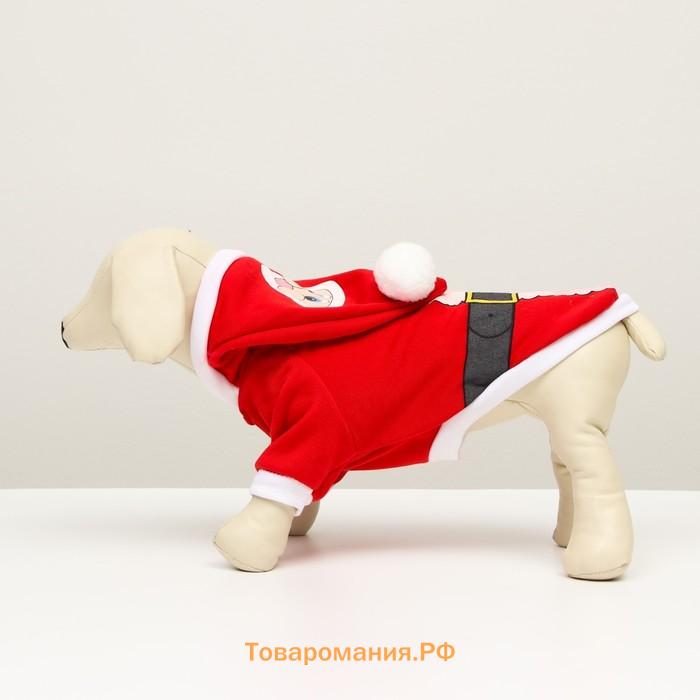 Толстовка для собак Santa, XL (ДС 40, ОГ 50 см)