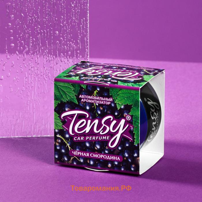 Ароматизатор Tensy, на панель, Черная смородина, 100 г, TZ-154