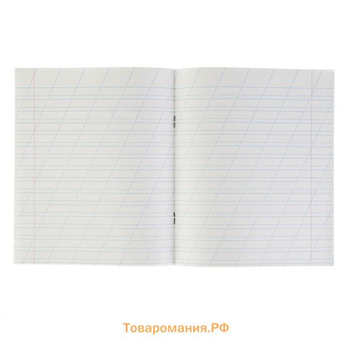 Комплект тетрадей из 20 штук, 12 листов в косую линию КПК "Зелёная обложка", блок №2, белизна 75% (серые листы)