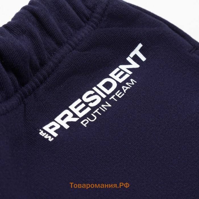 Брюки President Russian Sport, размер L, цвет синий