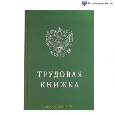 Ежедневник А5, 80 листов в тонкой обложке «Трудовая книжка»