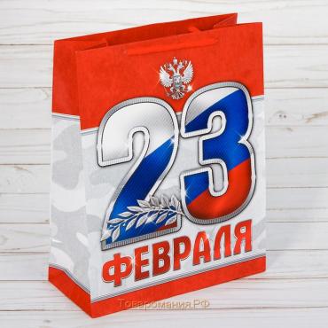 Пакет подарочный ламинированный вертикальный, упаковка, «23 февраля!», MS 18 х 23 х 10 см