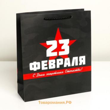 Пакет подарочный ламинированный вертикальный, упаковка, «С праздником!», M 26 х 30 х 9 см