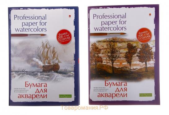 Бумага для акварели А4, 20 листов "Профессиональная серия", блок 200 г/м2, МИКС